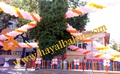 Uçan Balon, Uçan Balon Firması, Uçan Balon Fiyatı